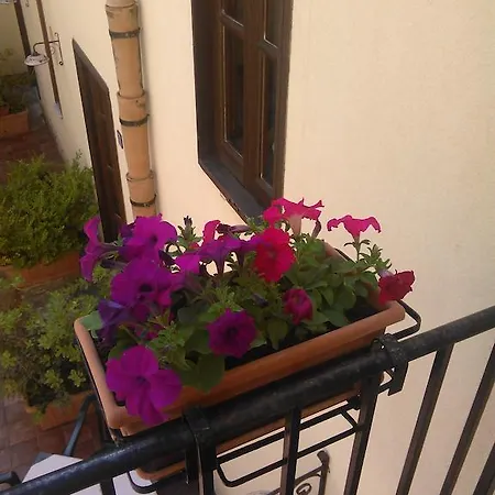 Aziyz 3* Castellammare del Golfo
